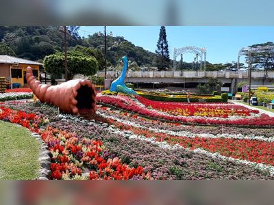 Flower and Coffee Fair in Boquete will be held from January 13 to 23, 2022