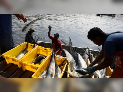 'Smells like death': Peru oil spill clear-up drags on as fishermen count cost