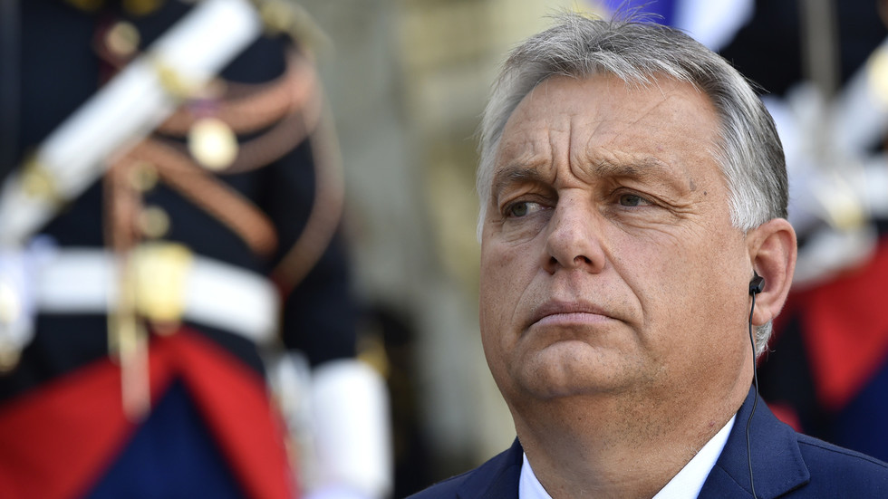 Hungarians want ‘more Chuck Norris’ – Orban