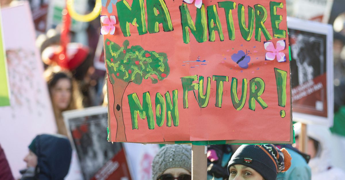 Activists dressed as birds and trees rally for nature at COP15 in Montreal