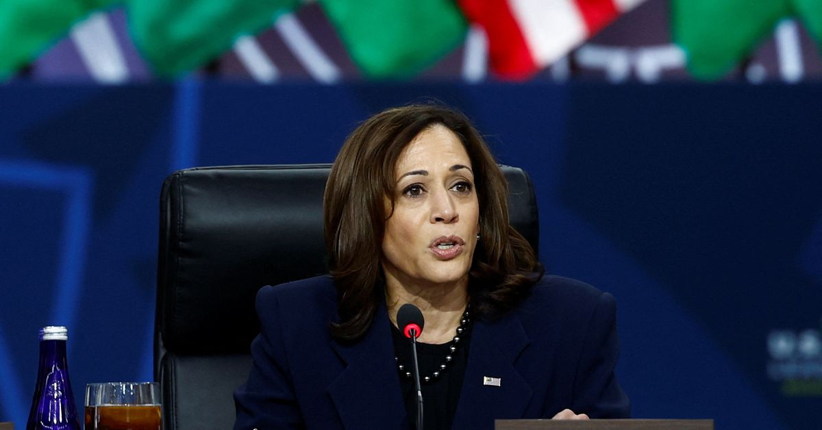 Migrants dropped outside VP Harris's home on blustery Christmas Eve