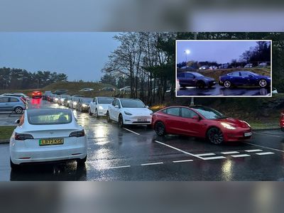 Queues stretching for hours show what it's like to own a Tesla at Christmas