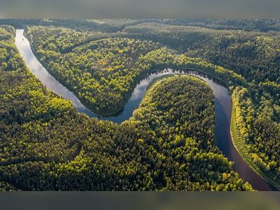 Brazil's Lula Government Launches 1st Anti-Deforestation Raids To Protect Amazon