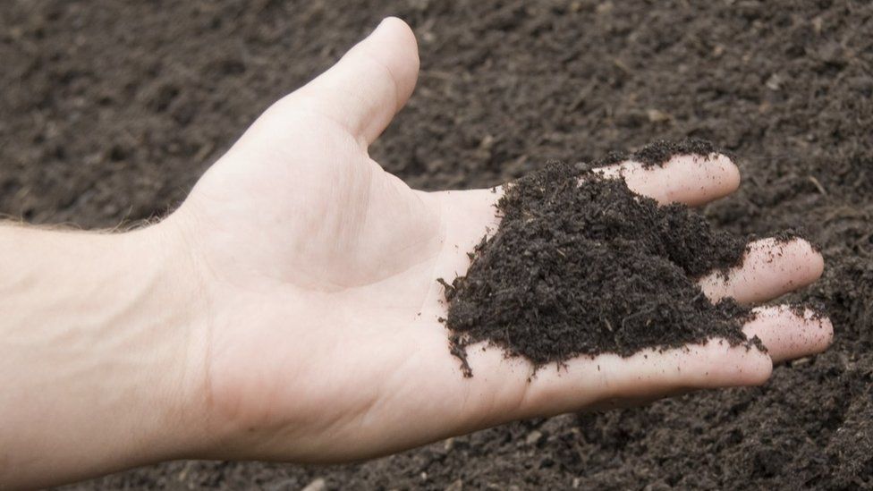 New York approves composting of human bodies