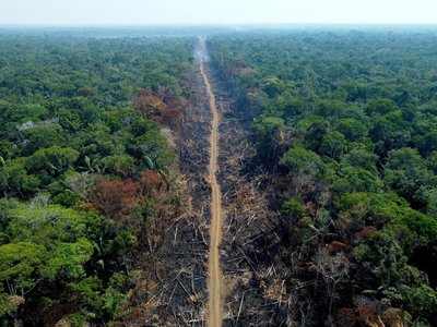 Colombian Amazon Deforestation Surges: Armed Groups Reverse Ban, Increase Control